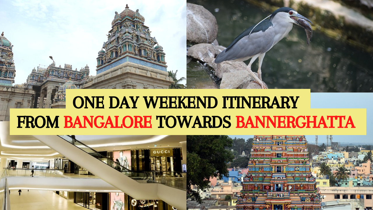 Many a times we have a day in hand and would like to spend a good one day with friends and family. So let me take you towards Bannerghatta. This one day weekend itinerary is really nice and you can spend some good time with family & friends. The spots we cover is within total driving distance of 150Km to and to from anyhwere you live in Bengaluru. The various spots we cover are - Shri Meenakshi Temple - Shri Champak Dham Swamy Temple - Shri Lakshmi Narashimha Temple - Suvarnamukhi Kalyani Trek - Bannerghatta Zoo - Royal Meenakshi Mall ---------------------------------------------------------------------------------------------------- 6.30 Leave home towards Shri Meenakshi Temple 7.00 Reach Meenakshi Temple and take blessings of Lord Shiva and Ma Parvatu 7.30 to 8.30 Breakfast 8.30 Reach Shri Champak dham swamy Temple 9.00 Finish Darshan and start climbing towards Shri Lakshmi Narashimha Temple 9.30 Reach lakshmi Narahsimha tmeple 10.00 Start strek to suvarnmukhi temple and kalyani 10.45 Reach Suvarnamukhi Kalyani 11.30 Start back to champakdham swamy temple 12.00 Reach champak dham swamy temple parking lot 12:15 Reach Bannegrhatta zoo parking lot 12.15 to 1.00 Lunch at any of the resturants in front zoo 1.00 to 5.00: Visit bannegrhtaa zoo, lion safari, butterfly park 5.00 PM - Back towards Bangalore 5.30PM - Reach Royal Meenakshi Mall 5.30 to 7.30 - Dinner and Royal Meenakshi Mall.