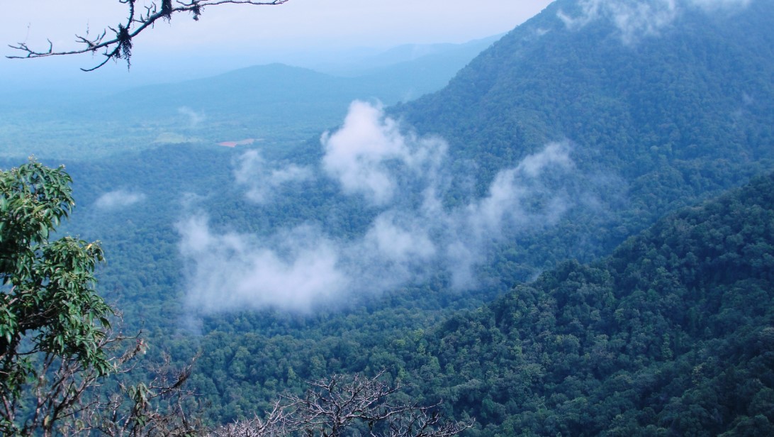 best places to visit in june in india - agumbe