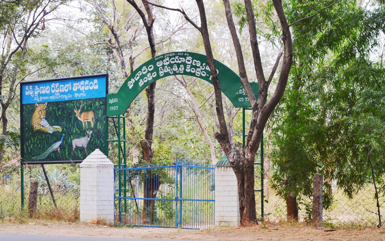 Pocharam Wildlife Sanctuary Nizamabad